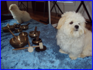 Sound Therapy Massage