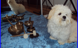 Sound Therapy Massage