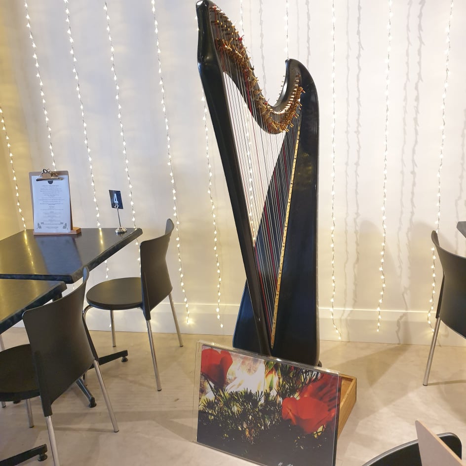 Harp and Wedding Lights