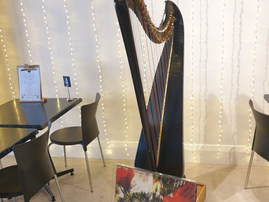Wedding Harpist Music Hobart Tasmania
